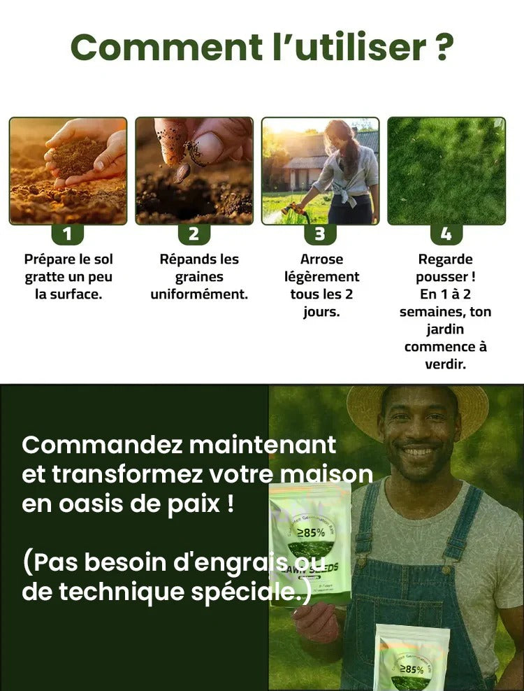 Grain d'herbe hybrides