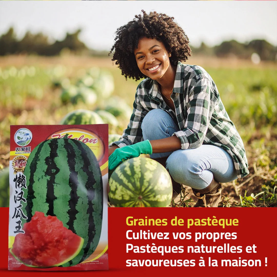 Graines de Pastèque naturelles