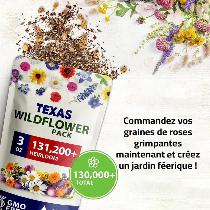 Graines de Roses Grimpantes Élégantes