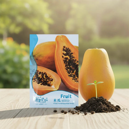 Graines de Papaye Bio