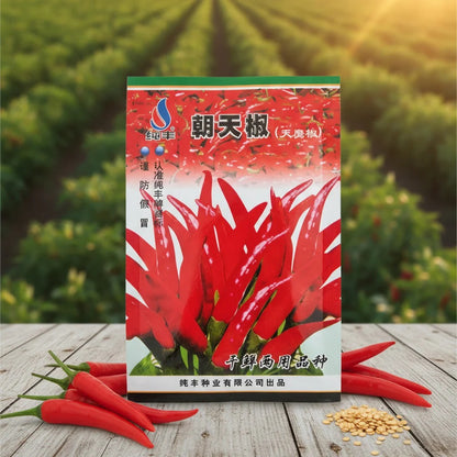 Graines de piment Bio