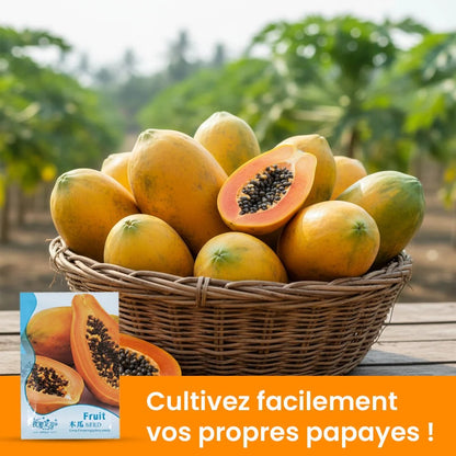 Graines de Papaye Bio