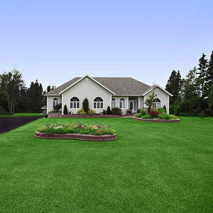 Grain d'herbe hybrides