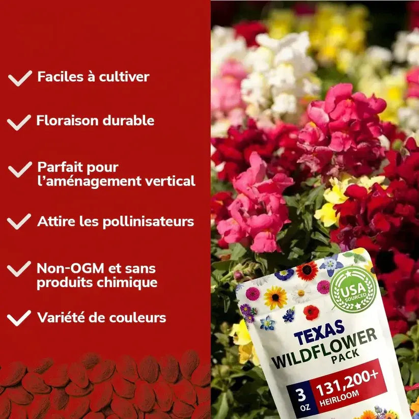 Graines de Roses Grimpantes Élégantes