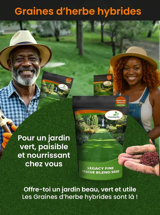 Grain d'herbe hybrides